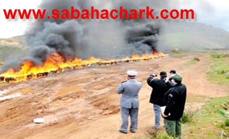 أحفير : اتلاف حوالي ثمانية أطنان من مخدر الشيرا و أكثر من 4000 قرص مهلوس