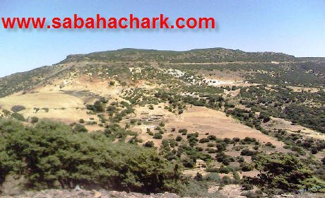 بركان: بجبال بني يزناسن احتياطات كبيرة ومؤكدة من النفط والغاز