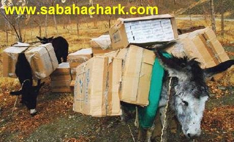 السلطات الجزائرية تتولى إعدام الحمير رميا بالرصاص على مستوى الشريط الحدودي بالقرب من بلدة أحفير