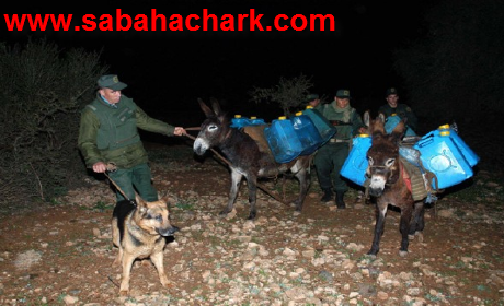 خنادق الجيش لمنع التهريب إلى المغرب تثير احتجاجات الفلاحين الجزائريين