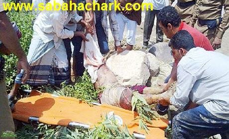 العثور على جثة مغربية بجنوب إسبانيا بعد ثلاثة أشهر على إختفائها