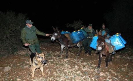 بالتزامن مع العيد ارتفاع صاروخي في ثمن البنزين المهرب من الجزائر