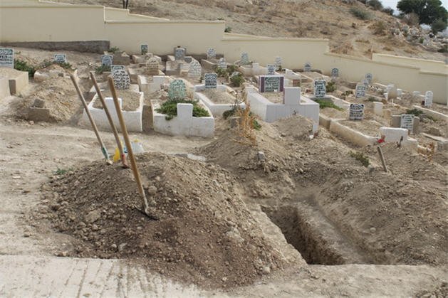 elhaj ahmed DAOUDI zaio 12