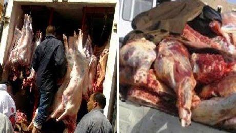 بركان : لحوم توزع بـ « تريبورتور » فأين هي معايير السلامة ؟