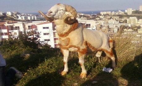 رمضان الكريم والعطلة الصيفية والمدرسة والكبش.. محطات أثمرت أرباحاً للأبناك