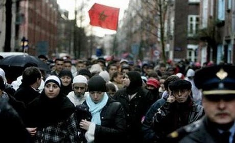 القضاء الهولندي يرفض تخفيض التعويضات العائلية للمغاربة ” بنسبة 40 في المائة “