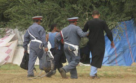 الدرك الملكي بأكليم … بتفكيك عصابة إجرامية تنشط بأكليم والنواحي بركان