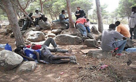 إخلاء غابة غوروغورو من المهاجرين السريين بالقرب من الناظور