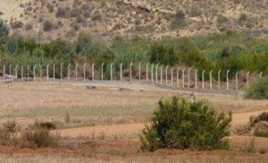  الحدودي الجزائري  - www.sabahachark.com