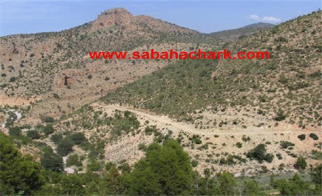 وعدة تيزي أزمور بتغاسروت فرصة لزيارة الأهل ولقاء الأصدقاء والأحباب