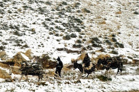 نشرة خاصة: تساقطات ثلجية بالجهة الشرقية