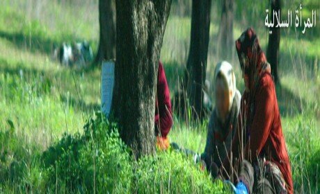 النساء السلاليات بجماعتي لعثامنة ومداغ يطالبن بحقهن في الانتفاع من أراضي الجموع