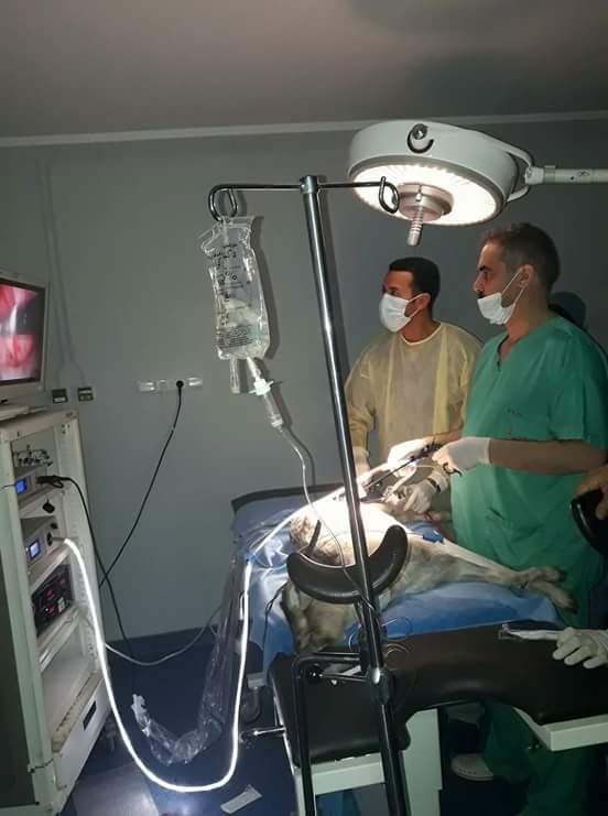 FB IMG 1487262887722 - www.sabahachark.com