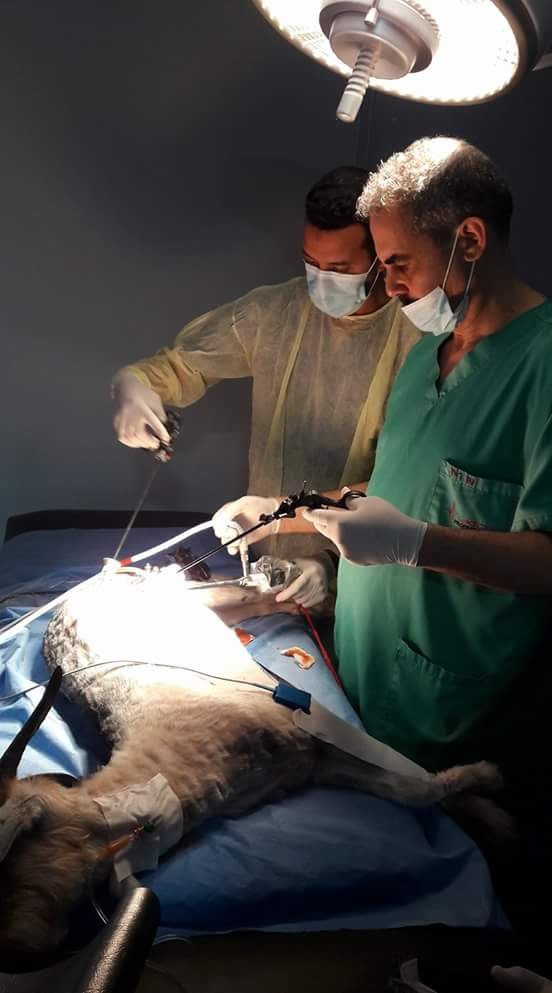 FB IMG 1487262890664 - www.sabahachark.com