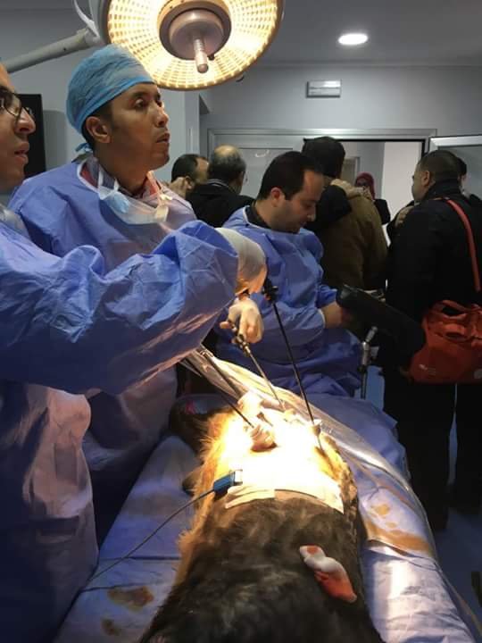 FB IMG 1487549500834 - www.sabahachark.com