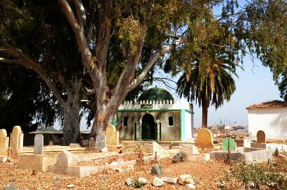 DSC 1875 - www.sabahachark.com