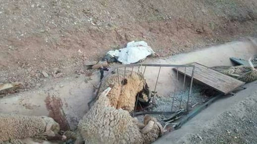 16748625 21430335 - www.sabahachark.com