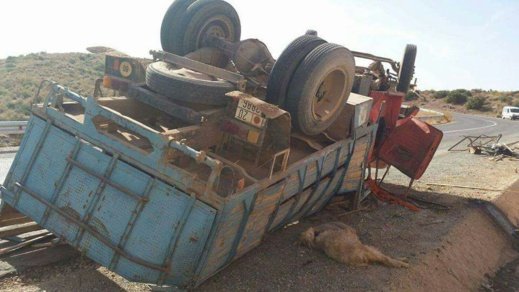 16748625 21430337 - www.sabahachark.com