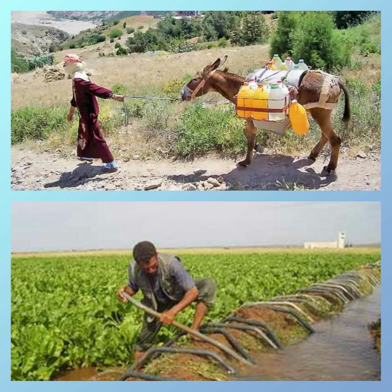 سولو العلماء…بركان بقات بلا ماء…!!! أزمة المياه تهدد السكان بإقليم بركان…