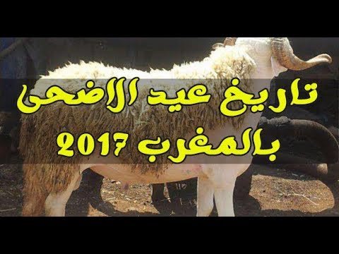 رسميا..هذا هو تاريخ عيد الأضحى بالمغرب