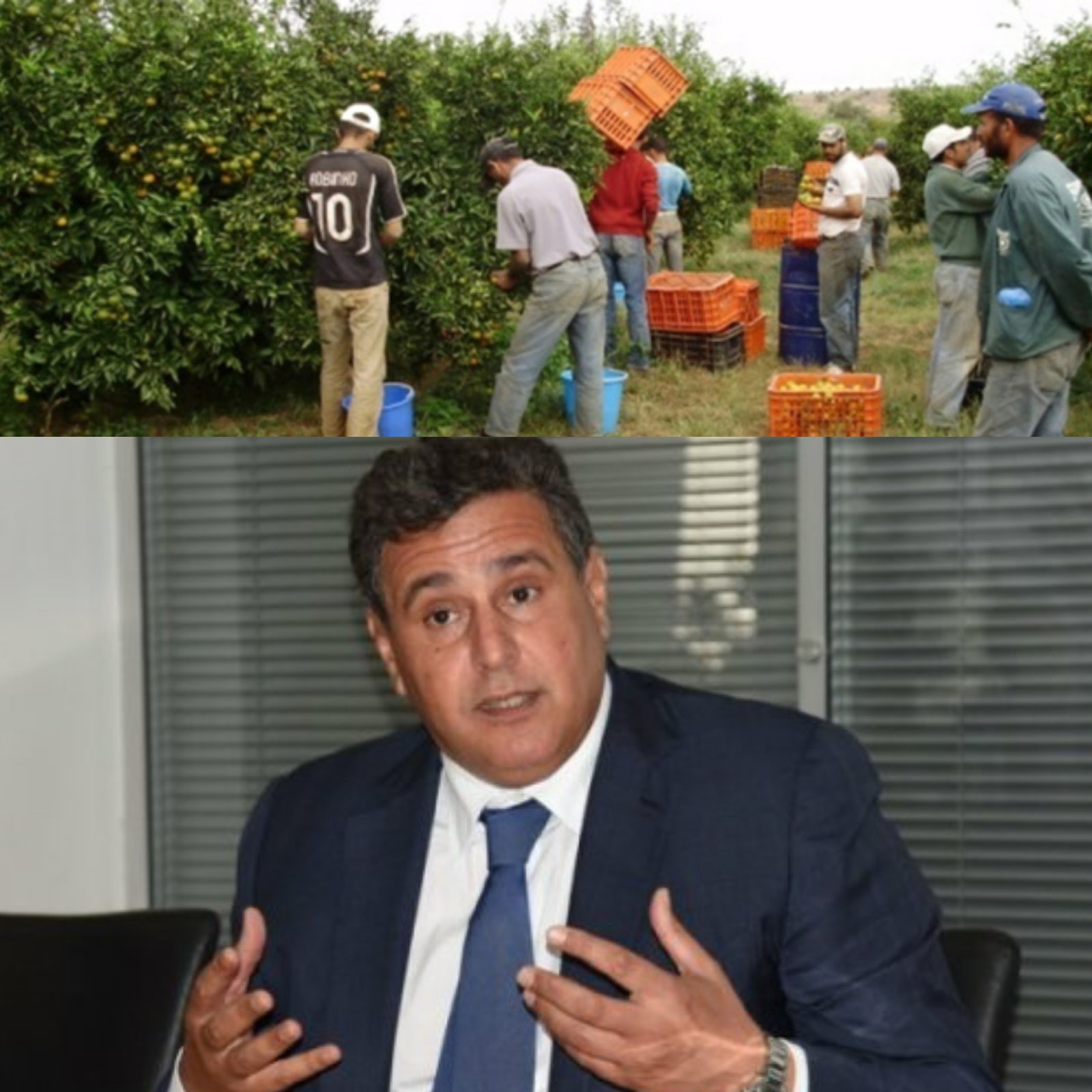 فلاحو إقليم بركان على حافة الإفلاس، فهل ستتدخل وزارة الفلاحة!؟