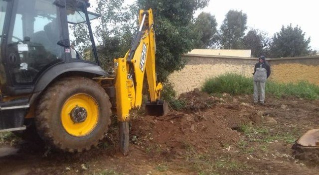 مدرسة سيبوه 1 - www.sabahachark.com