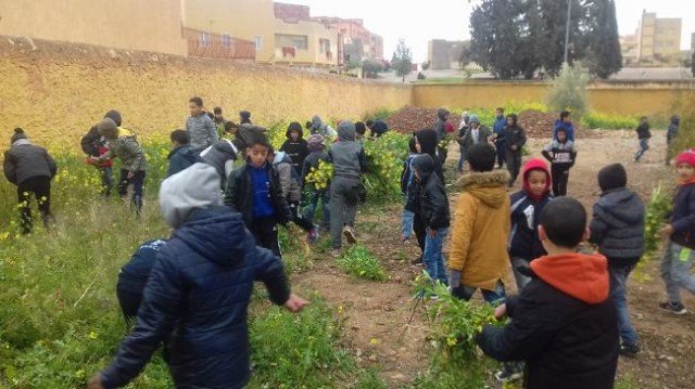 مدرسة سيبوه 2 - www.sabahachark.com