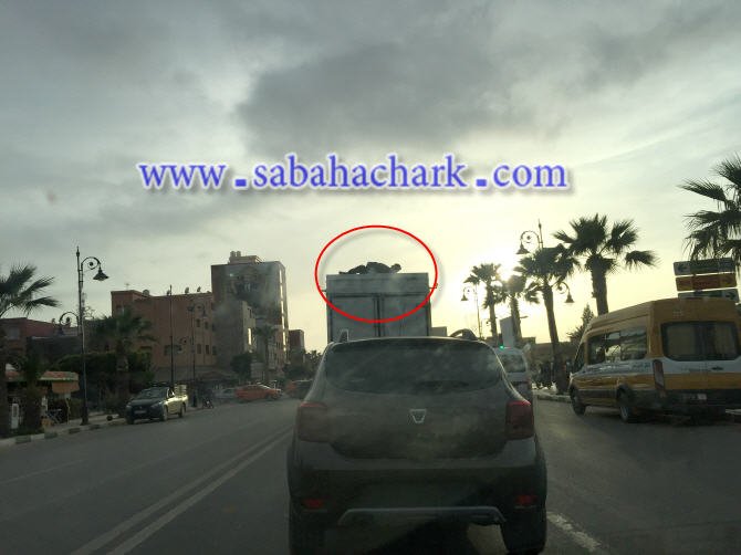 بركان : شباب يغامرون بحياتهم طمعا للمرور إلى “الفردوس المفقود