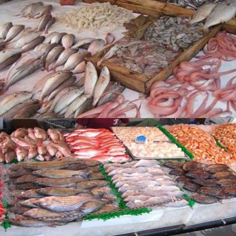 بلاغ جامعة غرف الصيد البحري حول الزيادة في أسعار السمك