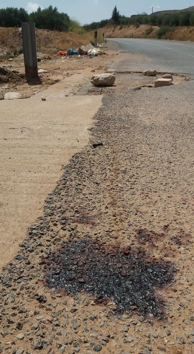 41428505 2063857483646429 759657690346553344 n - www.sabahachark.com