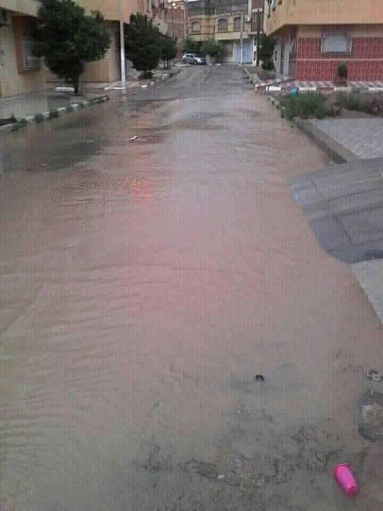 41930245 1885659268184911 4263869288940568576 n - www.sabahachark.com