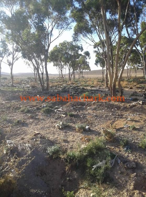 42354887 330719667505547 7516687423678447616 n - www.sabahachark.com