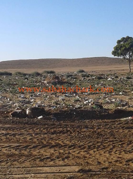 42363968 2210197265884629 5063210097690279936 n - www.sabahachark.com