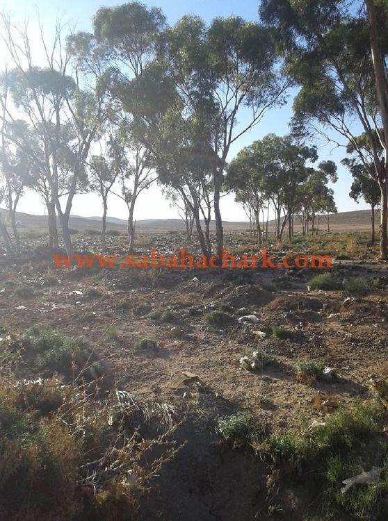 42396175 2207338062884534 8638352381098065920 n - www.sabahachark.com