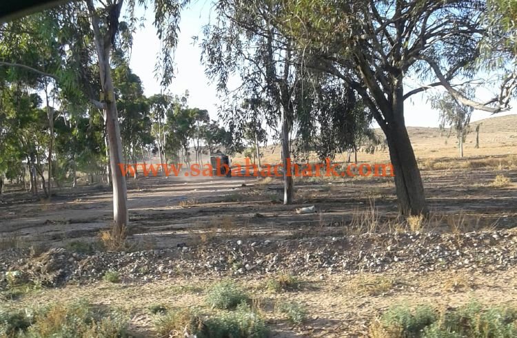 42416656 860151327442192 2234610633012150272 n - www.sabahachark.com