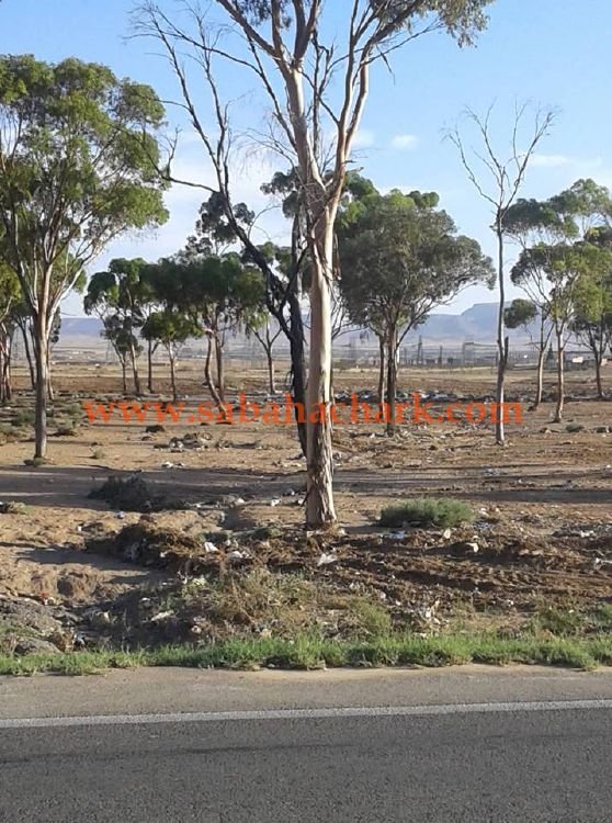 42445162 299838947497434 7567347580842016768 n - www.sabahachark.com