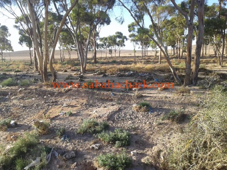 42462509 464566404065303 2495054619458142208 n - www.sabahachark.com