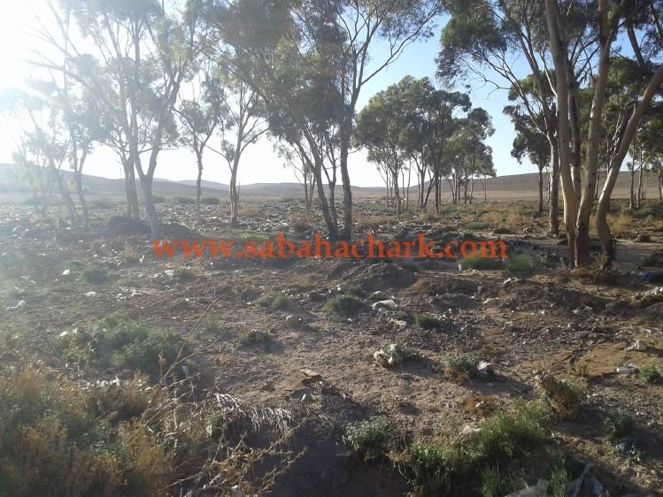 42463574 270133730289031 1014203234996191232 n - www.sabahachark.com