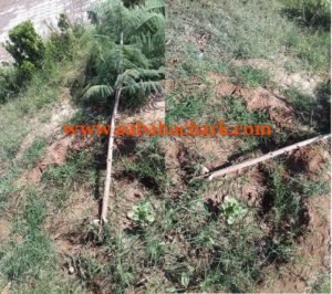 44719467 317174799012948 9036444936894939136 n - www.sabahachark.com