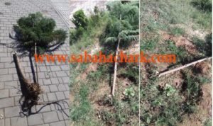 44735434 317174595679635 9081886236347465728 n - www.sabahachark.com