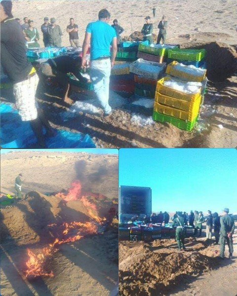 إتلاف ما يقارب 500 صندوق من سمك الأخطبوط المهرب بمدينة طرفاية