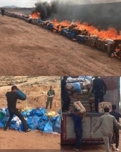 الجمارك الناظور تتلف كميات كبيرة من المخدرات والسجائر المهربة