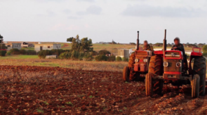 3 1  - www.sabahachark.com