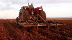 5  - www.sabahachark.com