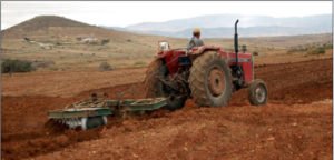  السليدر  - www.sabahachark.com