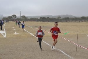 46305273 640835539647500 7567113934621114368 n  - www.sabahachark.com