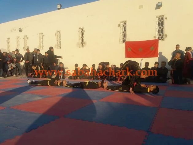  البديل في وضعية إعاقة 6 - www.sabahachark.com