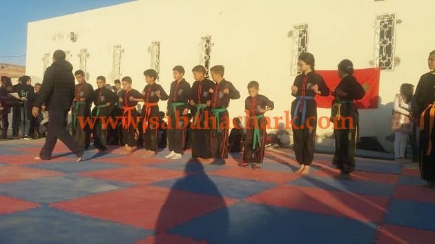  البديل في وضعية إعاقة 8 - www.sabahachark.com