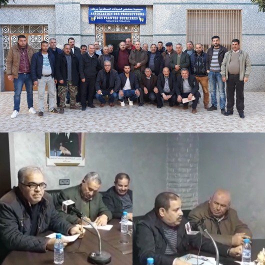   فلاحو إقليم بركان يهددون بمقاطعة بذور البطاطس المستورة وإحتكار الشركات لها