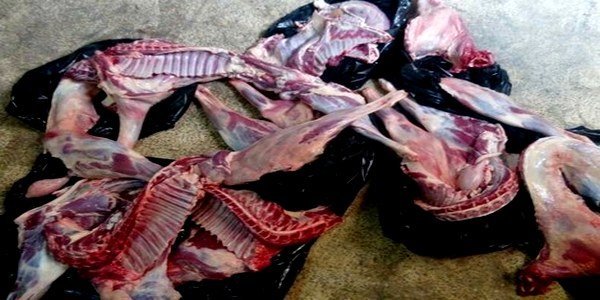 السجن عشر سنوات نافذا في حق افراد عصابة الذبيحة السرية ولحوم الكلاب